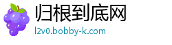 归根到底网